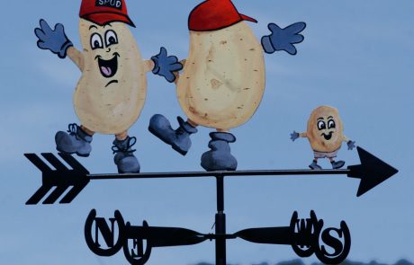 Cartoon potatoes custom made weathervane. Custom made business weathervane featuring potato cartoon characters hand painted.